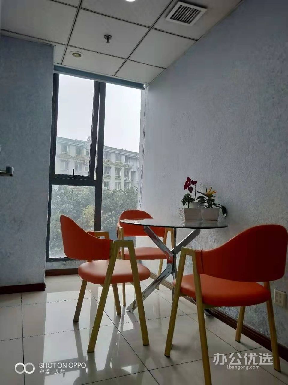 创富港-莱蒙都会