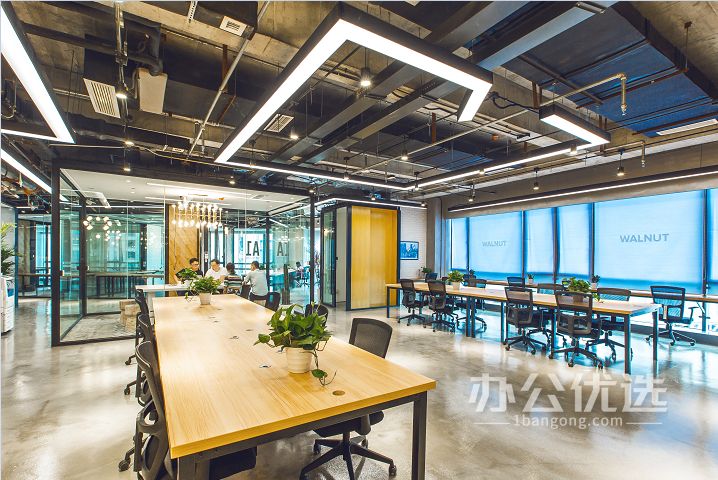 WALNUT·世茂大厦