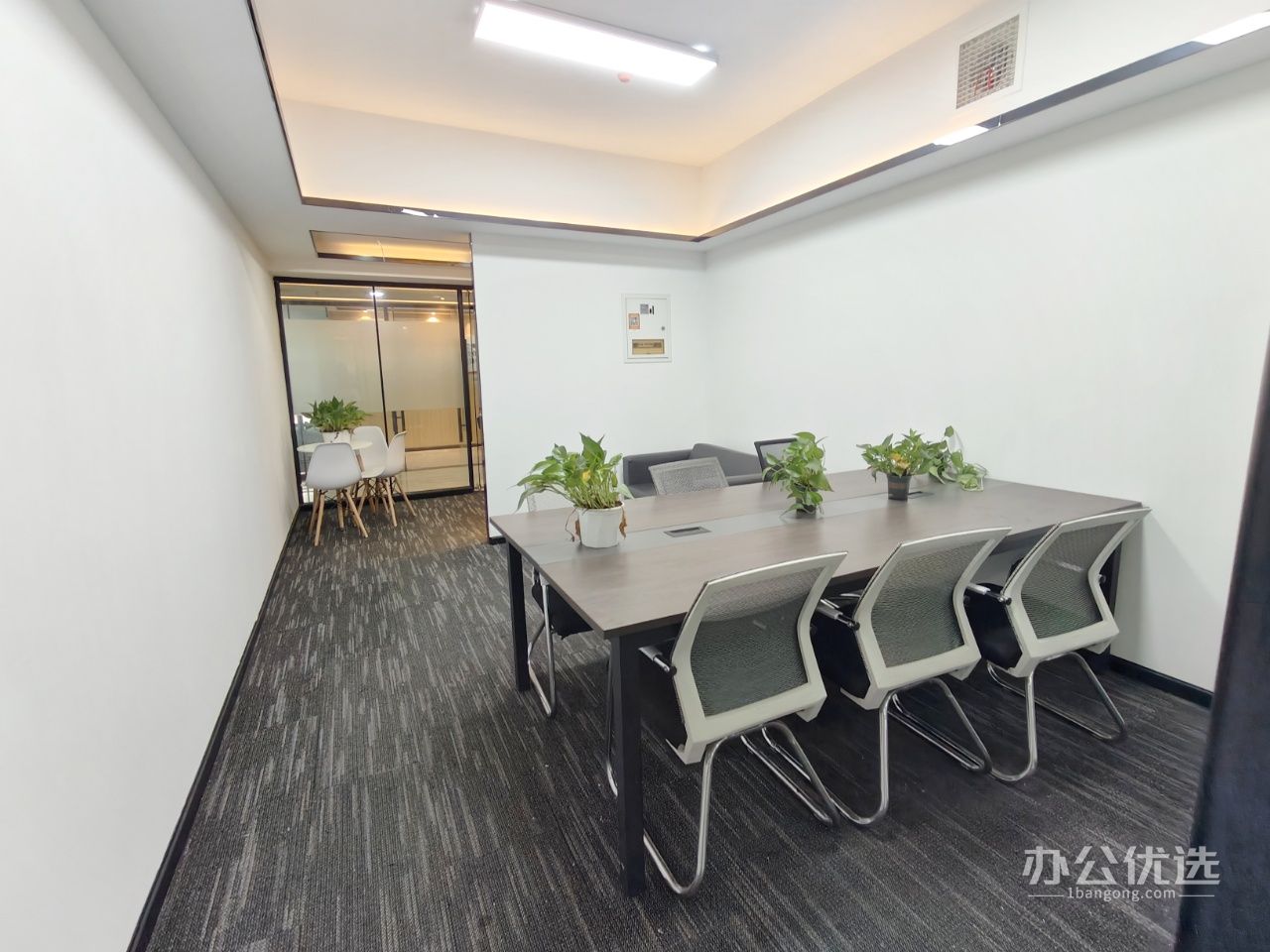 迈空间-兆信国际