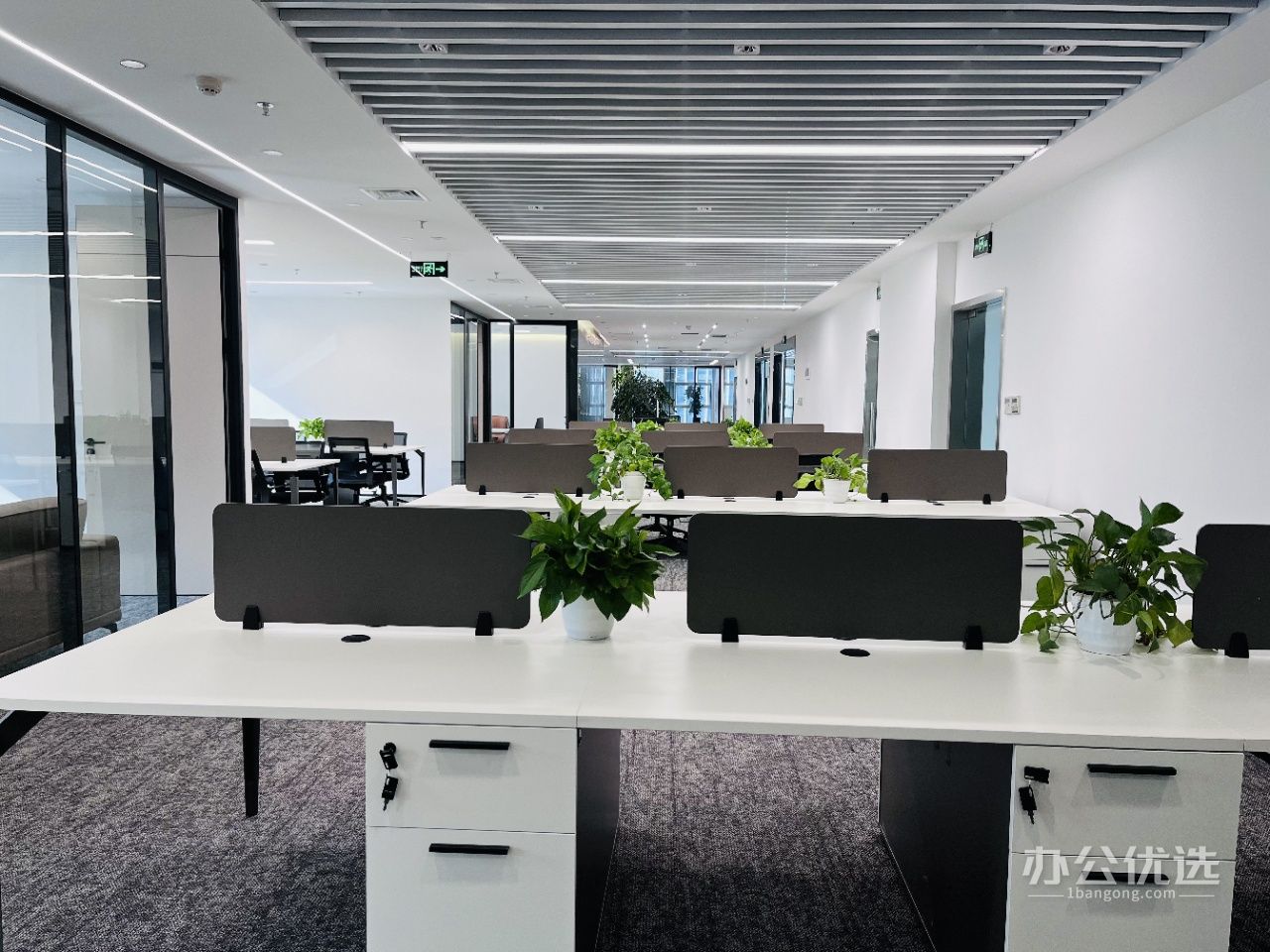 482平（5隔间+37工位）